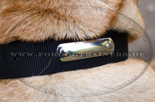 Nylon Collar for Shar Pei | Dog Collar with ID Plate - Click Image to Close